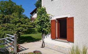 Apartmaji Klanc